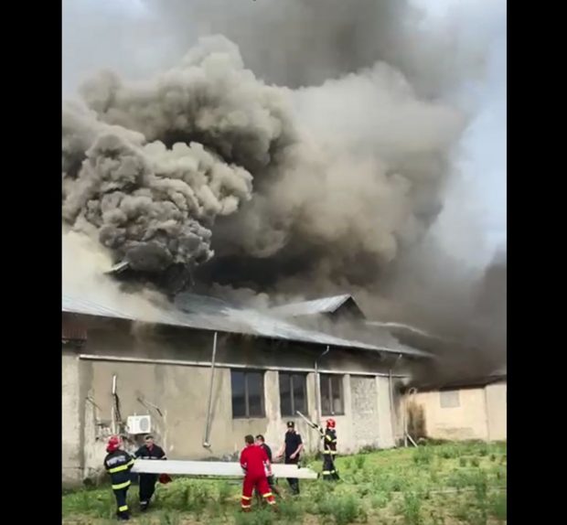 Incendiu la o fabrică de procesare a laptelui din Mizil. Sunt mari degajări de fum