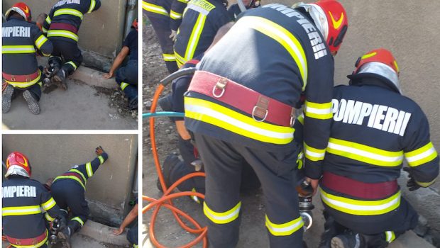 Doi muncitori, surprinși de o surpare de pământ, la Oradea. Unul a fost salvat, celălalt, inconștient, încă nu a fost scos la suprafață