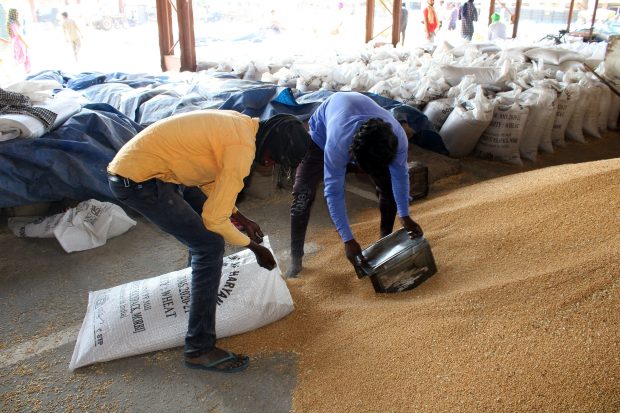 Regii cerealelor au profituri imense, iar activiștii cer suprataxarea lor. „Au pus stăpânire pe lanțurile alimentare”