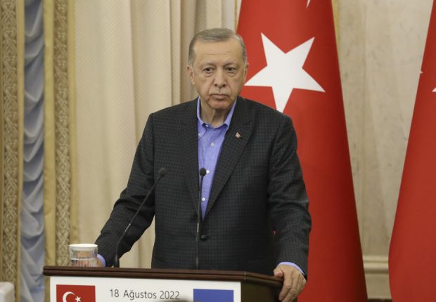 Erdogan a fost comparat de vicepreședintele Parlamentului german cu „un șobolan de canalizare”. Reacția Turciei