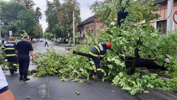 Copaci căzuți pe străzi și cabluri de curent rupte, după ce o furtună a măturat Oradea