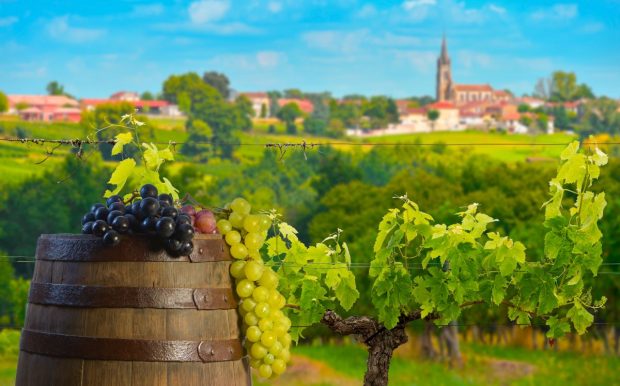 Zone viticole celebre din Europa –  destinații pentru iubitorii de vin