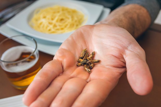 De ce vrea AUR să interzică prin lege insectele în industria alimentară din România