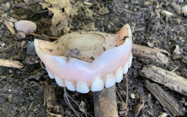 „Au fugit atât de tare, încât le-a căzut și placa dentară!”. Fotografii cu pozițiile abandonate ale rușilor, publicate de armata ucraineană