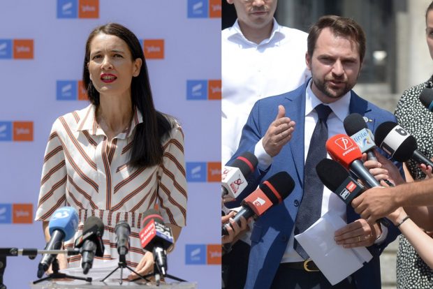 Clotilde Armand, o nouă plângere penală împotriva ministrului PNL, Sebastian Burduja