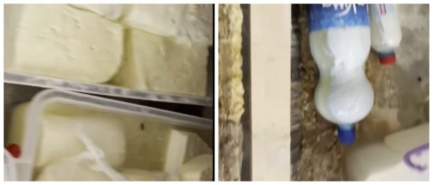 Comercianții din Lugoj, verificați de ANPC. Brânză cu gândaci vândută oamenilor și bijuterii „umflate” la greutate