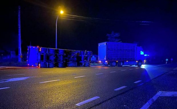 6.000 de găini moarte, după ce un șofer român a răsturnat camionul în care transporta păsările, pe un drum din Belgia
