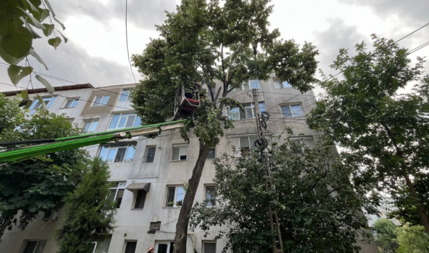 Vântul puternic face prăpăd. Copacii doborâți au căzut pe carosabil sau pe mașini, la București și la Constanța. Toate porturile au fost închise