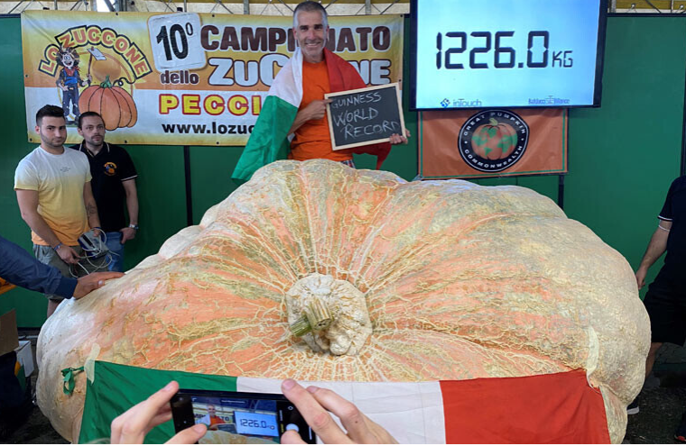 Un agricultor german și-a recoltat dovleacul de peste o jumătate de tonă cu macaraua