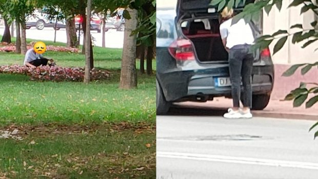 O femeie a fost prinsă la furat de flori, în Craiova: „A coborât dintr-o mașină scumpă și a năvălit în rondurile din parc”