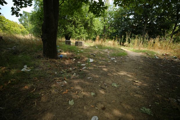 Primăria Capitalei vrea să construiască un parc pe un teren din sectorul 6 administrat de SRI