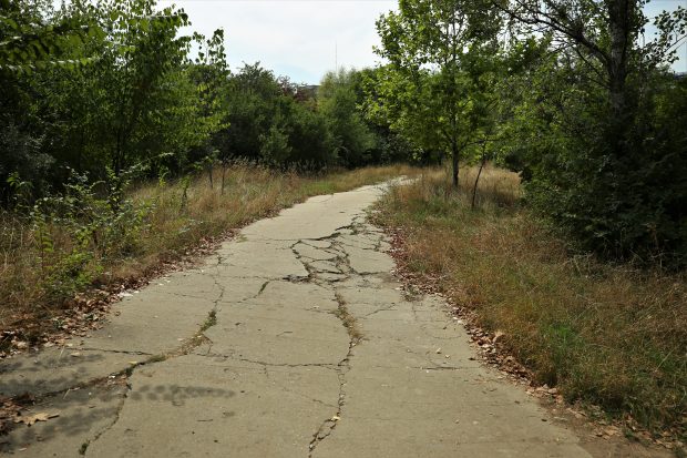 SRI nu mai construiește spital în Parcul Grozăvești. Bucata de 1,14 hectare va reveni Primăriei Sectorului 6