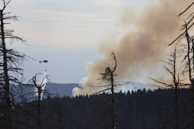 Incendiu de pădure în nordul Germaniei. Zeci de hectare sunt afectate, iar focul se extinde