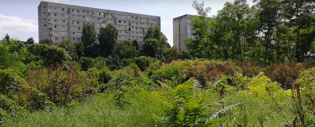 Înregistrările video la care conducerea Spitalului Obregia nu s-a uitat când o pacientă a dispărut în „jungla din curte” și a murit. Firea numise managerul, adus de la Pandele