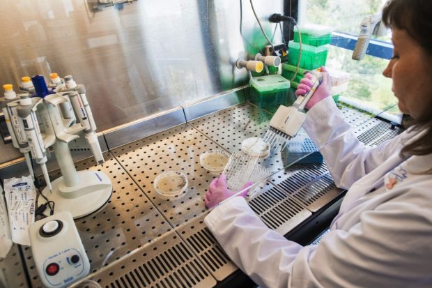 Un medicament experimental împotriva bolii Alzheimer a dat rezultate. Cercetătorii: „Un moment istoric”