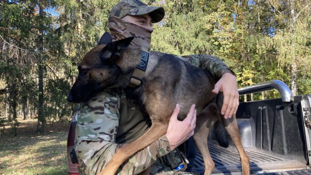 „Un miracol”. Un soldat care a părăsit combinatul Azovstal fără ciobănescul său german a găsit-o pe Jackie după patru luni