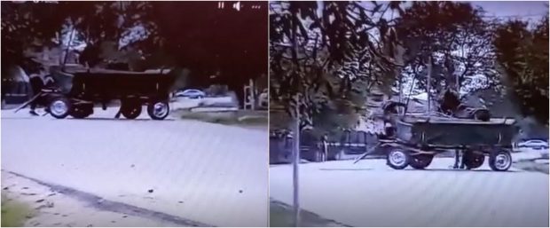 Un bărbat din Olt este cercetat pentru că şi-a bătut cu bestialitate calul. Momentul a fost surprins de un localnic | VIDEO