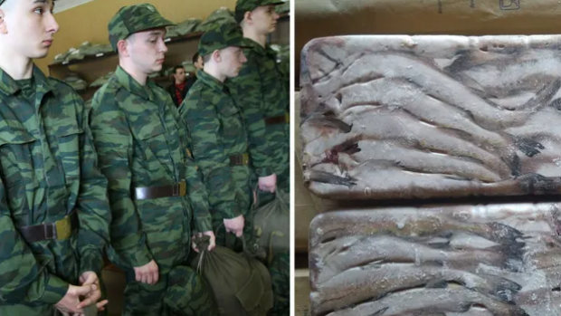 Familiilor rușilor mobilizați de pe insula Sahalin li se promit câte 5 kilograme de pește