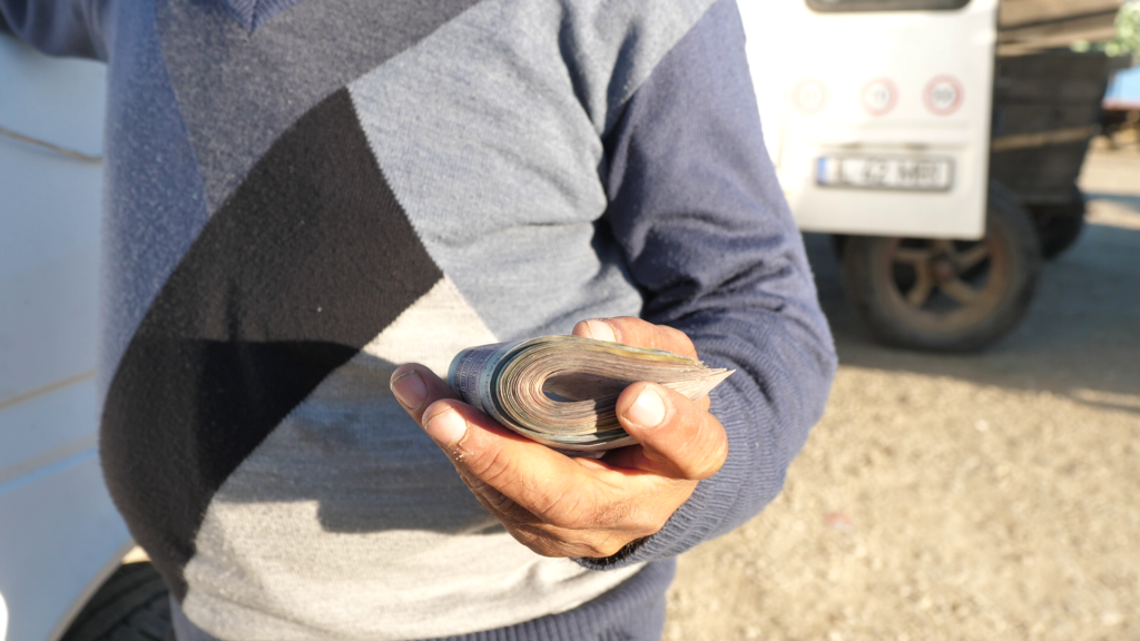 REPORTAJ. La kilometrul zero al verzei în România: „Șefule, doar aici, la Lungulețu, e varză adevărată, perfectă de murat și ieftină rău”