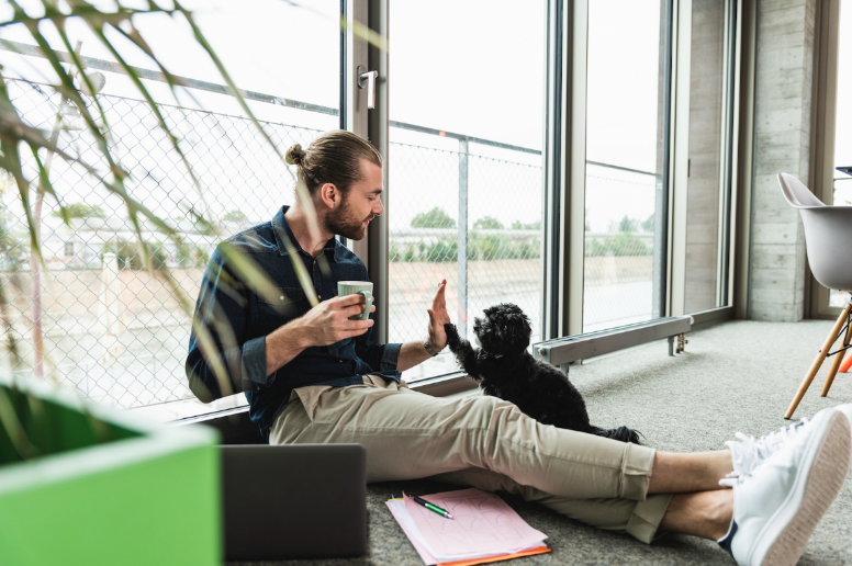 Aproape jumătate dintre gospodăriile din România au un câine sau o pisică. Mars le face viața mai frumoasă.