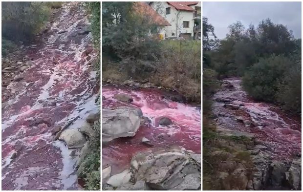 Imagini filmate cu apa care curge roșie pe râul Sălăuța, din Bistrița Năsăud | VIDEO