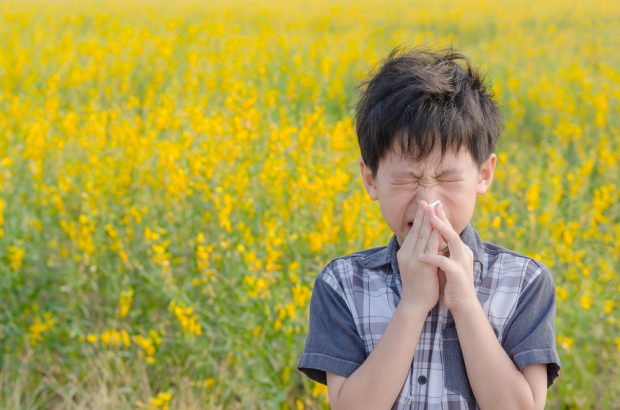 5 lucruri pe care trebuie să le știi despre alergia la ambrozie