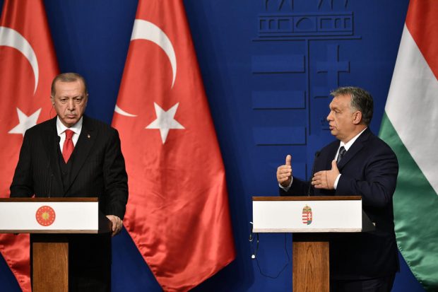 Ungaria și Turcia, ultimele obstacole pentru aderarea Finlandei și Suediei la NATO