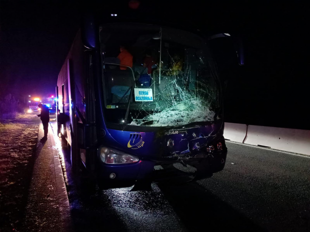 Taur lovit de un autocar plin cu turiști, pe DN1, la Potigrafu. Traficul spre București este întrerupt