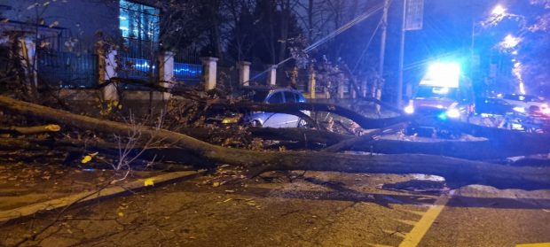 Un bărbat a fost prins sub un copac care a căzut în apropierea sediului Jandarmeriei Române