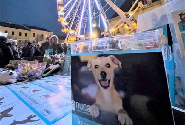 Asociația NUCA, de protecție a animalelor, scoasă din Târgul de Crăciun Cluj-Napoca: „Nu ne integrăm!” Ce spun organizatorii