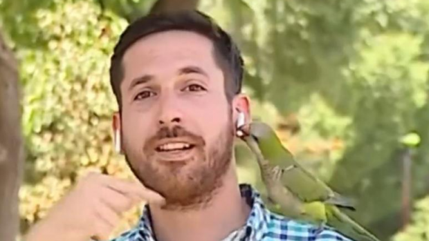 Un jurnalist chilian care relata în direct despre un jaf a fost „atacat” de un musafir nepofit: „Mi-a furat casca, ați văzut?”