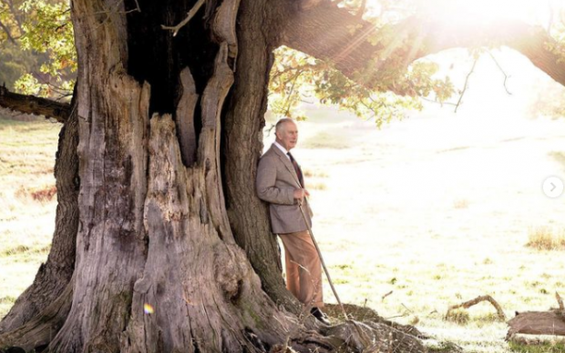 Imaginea difuzată de Palatul Buckingham la aniversarea regelui Charles, care a împinit 74 de ani