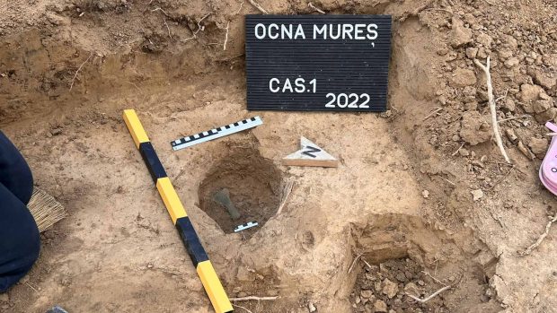O unealtă de lucru și trei topoare vechi de 3.000 de ani, descoperite într-o pădure de lângă Ocna Mureș