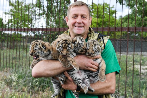 Oficial rus, filmat în timp ce fură animale de la grădina zoologică din Herson. Cine este Oleg Zubkov