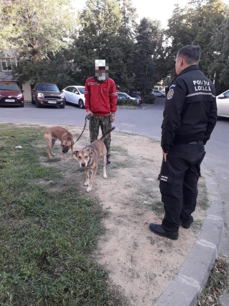 Explozie de amenzi date de Poliţia Locală Craiova anul acesta 