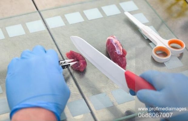 Autoritățile din Statele Unite anunță că produsele din carne crescută în laborator sunt „sigure pentru consum”