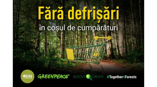 Fără defrișări în coșul de cumpărături! O nouă inițiativă dezgroapă legăturile dintre produsele de la raft și tăierile pădurilor