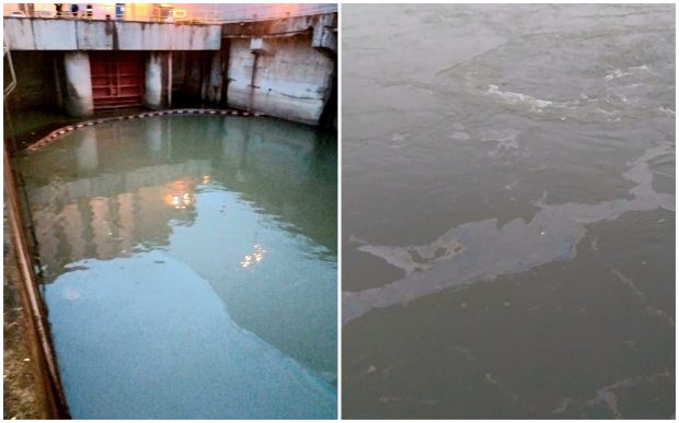 Poluare cu petrol pe Dunăre, pe o lungime de 6 kilometri. Anunțul făcut de Apele Române