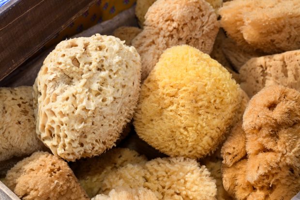 Bureţi naturali sau bureţi sintetici – Care sunt mai buni de folosit