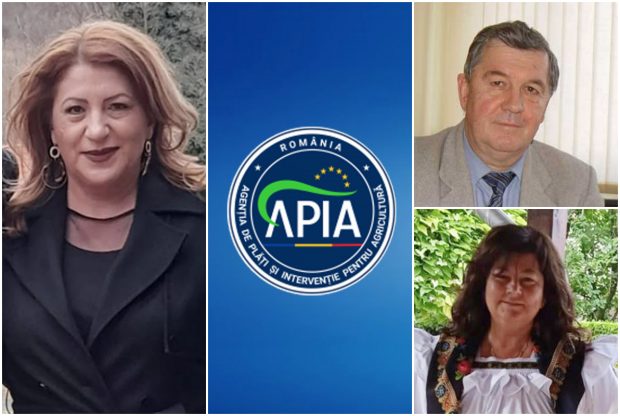 7 ANI DE LUPTĂ. O funcționară și-a reclamat șefii pentru fraudă cu fonduri europene, a fost demisă și repusă în funcție de instanță, sub aceiași șefi