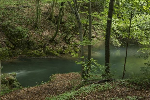 Un tânăr a fost găsit spânzurat într-o pădure de pe Valea Măgheruşului, după ce câinele cu care plecase s-a întors singur acasă