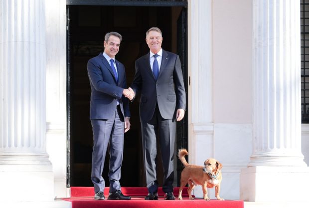 Klaus Iohannis, întâmpinat la Guvernul Greciei de celebrul câine adoptat de premierul Mitsotakis