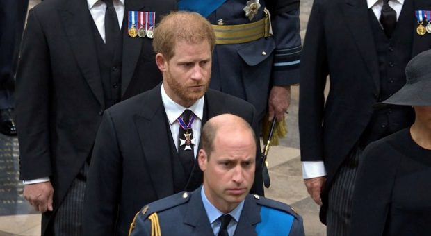 Harry spune că Prințul William a țipat la el, la discuțiile despre plecarea din Marea Britanie: „A fost înfricoșător să-l văd așa pe fratele meu”