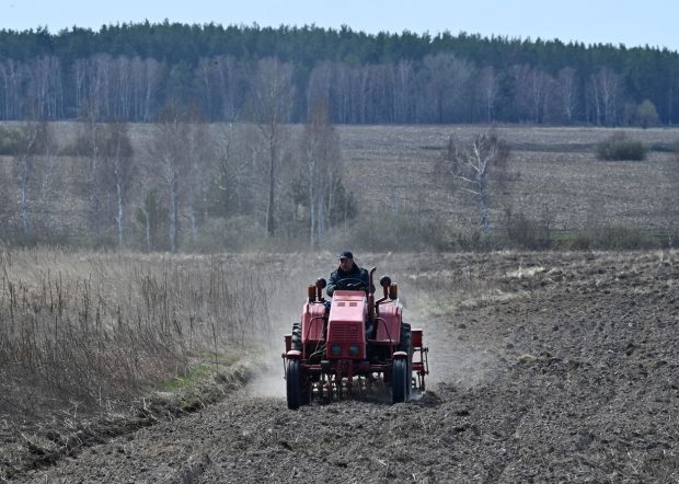 NASA estimează că Rusia a recoltat grâu de un miliard de dolari din teritoriile ucrainene ocupate