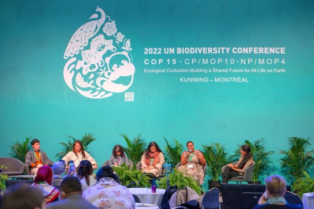 „Acord istoric” la summitul COP 15 pentru protejarea naturii și a biodiversității. Ce măsuri au fost adoptate