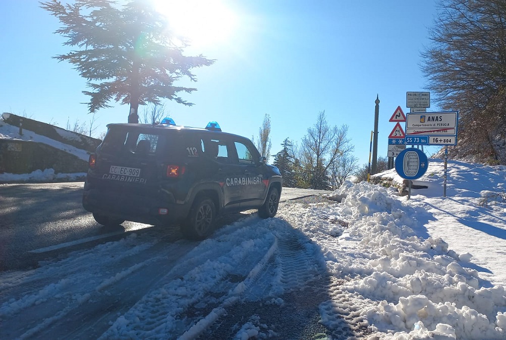 Immediato lo è stato un uomo rumeno che si è fermato sul ciglio della strada in Italia per portare il figlio in bagno