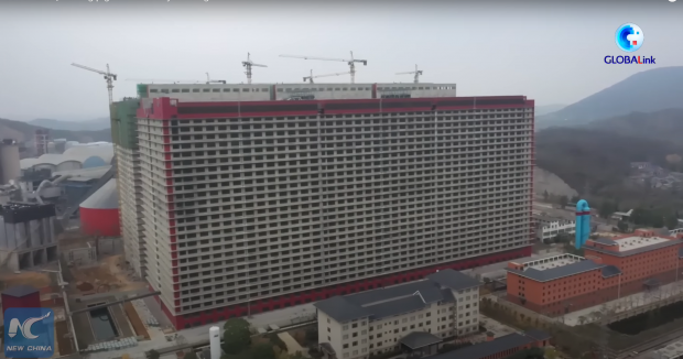 Răspunsul Chinei pentru îmbunătățirea producției de alimente: turnuri uriașe de porci, care cresc peste 1 milion de exemplare pe an