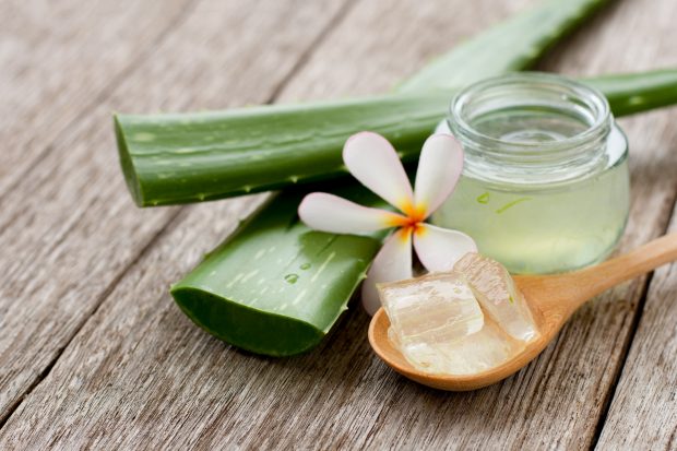 Gelul de aloe vera – ce beneficii are și la ce poate fi folosit