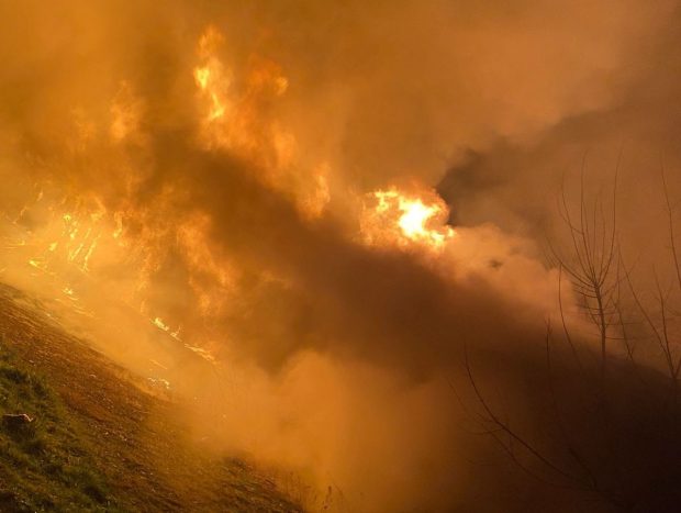 Incendiu de vegetație lângă localitatea vasluiană Murgeni. Focul afectează 30 hectare
