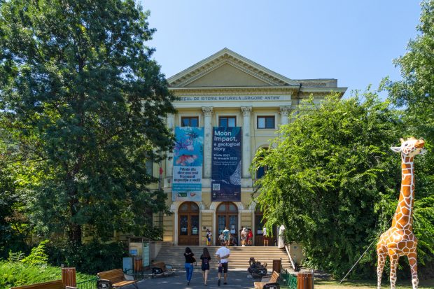 Muzee de vizitat în București. Program și cât costă accesul